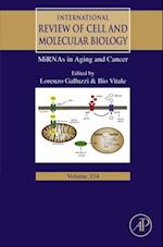 MiRNAs in Aging and Cancer