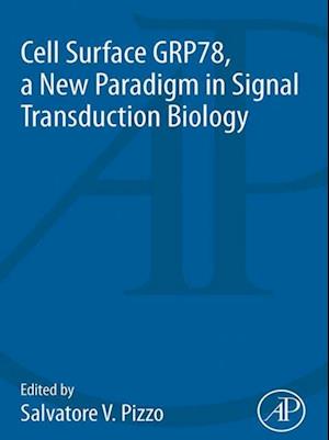 Cell Surface GRP78, a New Paradigm in Signal Transduction Biology