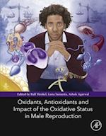 Oxidants, Antioxidants, and Impact of the Oxidative Status in Male Reproduction