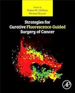 Strategies for Curative Fluorescence-Guided Surgery of Cancer