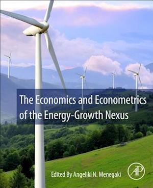 The Economics and Econometrics of the Energy-Growth Nexus