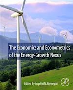 The Economics and Econometrics of the Energy-Growth Nexus