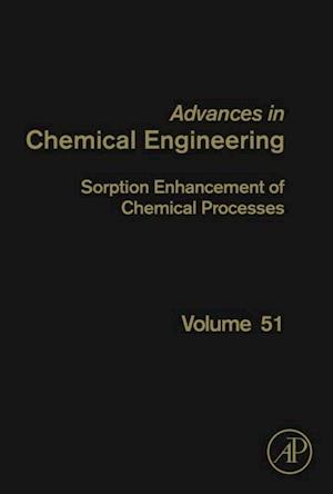 Sorption Enhancement of Chemical Processes