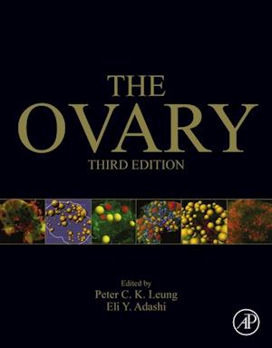 Ovary