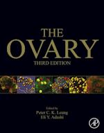 Ovary