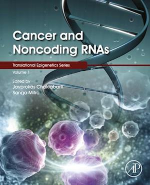 Cancer and Noncoding RNAs