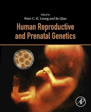 Human Reproductive and Prenatal Genetics