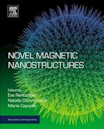Novel Magnetic Nanostructures