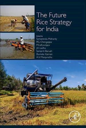 The Future Rice Strategy for India