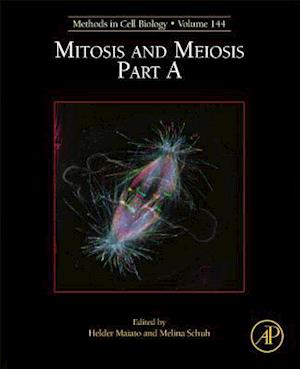 Mitosis and Meiosis Part A