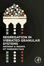 Segregation in Vibrated Granular Systems