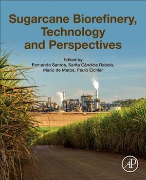 Sugarcane Biorefinery, Technology and Perspectives