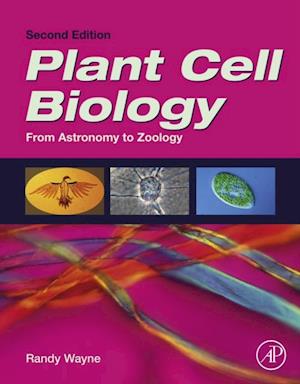 Plant Cell Biology