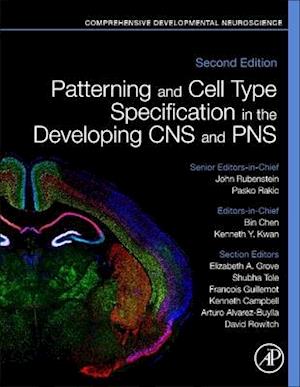 Patterning and Cell Type Specification in the Developing CNS and PNS