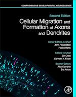 Cellular Migration and Formation of Axons and Dendrites