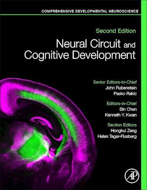 Neural Circuit and Cognitive Development