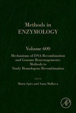Mechanisms of DNA Recombination and Genome Rearrangements: Methods to Study Homologous Recombination