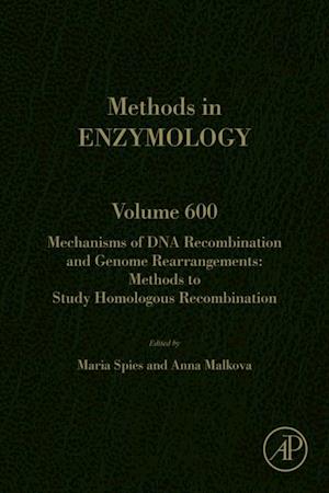 Mechanisms of DNA Recombination and Genome Rearrangements: Methods to Study Homologous Recombination