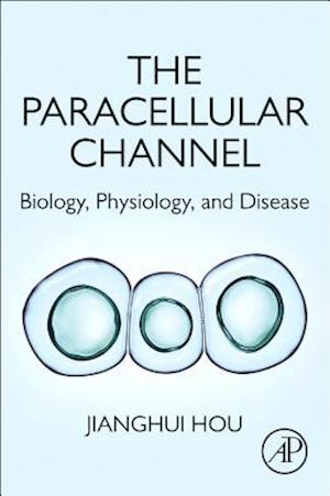 The Paracellular Channel