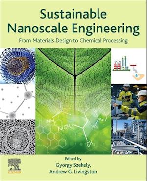 Sustainable Nanoscale Engineering