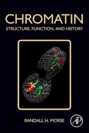 Chromatin