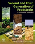Second and Third Generation of Feedstocks