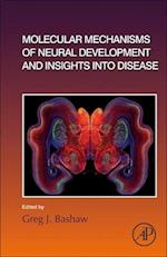 Molecular Mechanisms of Neural Development and Insights into Disease