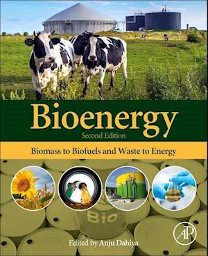 Bioenergy