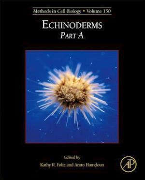 Echinoderms