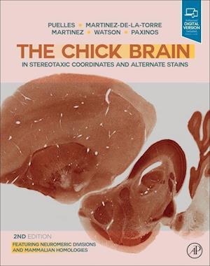 The Chick Brain in Stereotaxic Coordinates and Alternate Stains