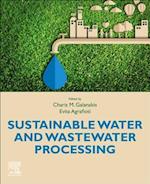 Sustainable Water and Wastewater Processing
