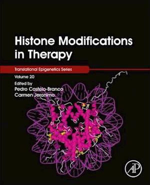 Histone Modifications in Therapy