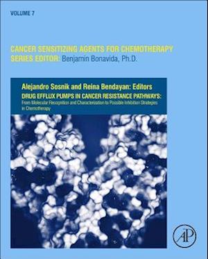 Drug Efflux Pumps in Cancer Resistance Pathways: From Molecular Recognition and Characterization to Possible Inhibition Strategies in Chemotherapy