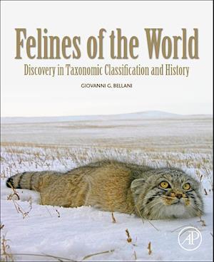 Felines of the World