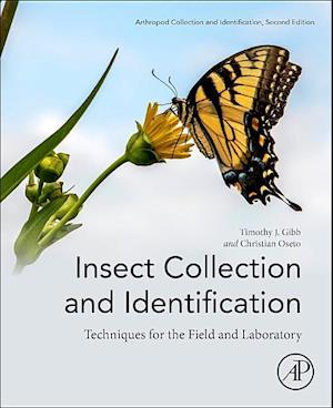 Insect Collection and Identification