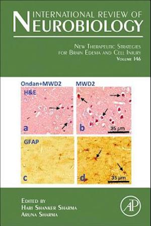 New Therapeutic Strategies for Brain Edema and Cell Injury