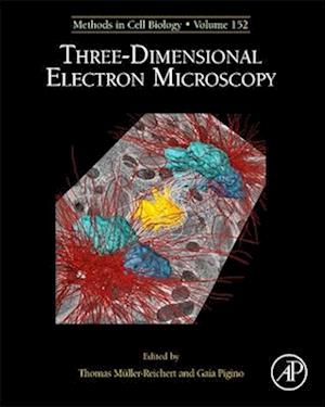 Three-Dimensional Electron Microscopy