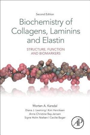 Biochemistry of Collagens, Laminins and Elastin