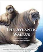 The Atlantic Walrus