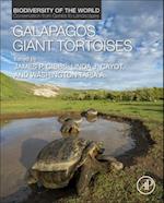 Galapagos Giant Tortoises