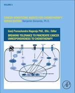 Breaking Tolerance to Pancreatic Cancer Unresponsiveness to Chemotherapy