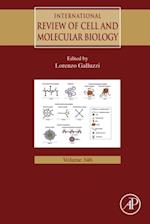 International Review of Cell and Molecular Biology