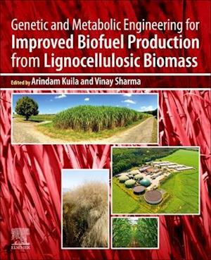 Genetic and Metabolic Engineering for Improved Biofuel Production from Lignocellulosic Biomass