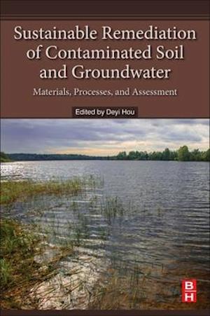 Sustainable Remediation of Contaminated Soil and Groundwater