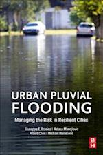 Urban Pluvial Flooding