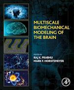 Multiscale Biomechanical Modeling of the Brain
