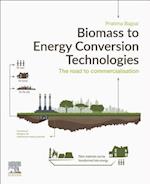 Biomass to Energy Conversion Technologies