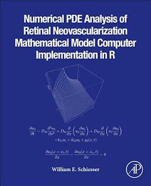 Numerical PDE Analysis of Retinal Neovascularization