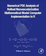 Numerical PDE Analysis of Retinal Neovascularization