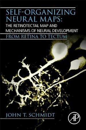 Self-organizing Neural Maps: The Retinotectal Map and Mechanisms of Neural Development